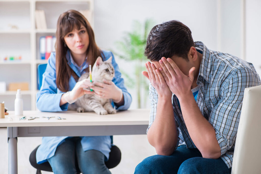 Sad per owner crying in hands