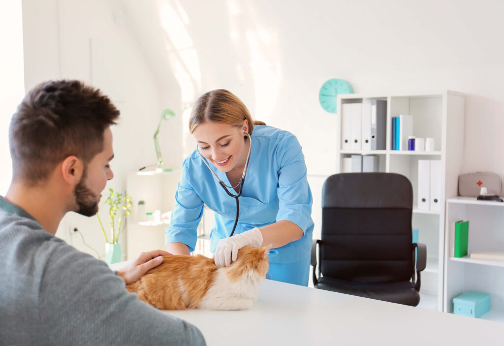 Vet with Owner 2
